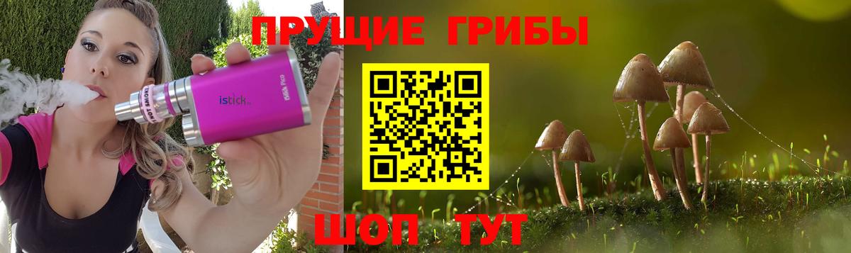 Псилоцибиновые грибы Magic Shrooms  Вход с VPN  как найти наркотики  Тайшет 